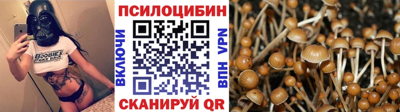 Псилоцибиновые грибы ЛСД  Братск 