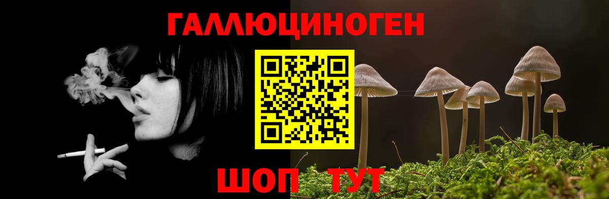 Братск  Галлюциногенные грибы MAGIC MUSHROOMS  Вход с VPN 